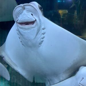 Meet your Posher, Kathryn